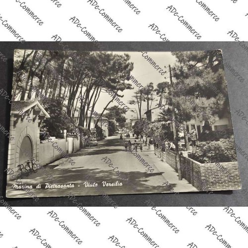 Cartolina marina - cartolina,