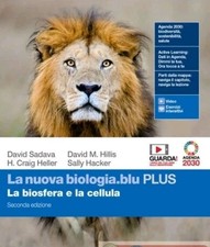 H. Craig Heller. La nuova