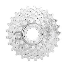 CAMPAGNOLO PACCO PIGNONI