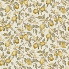 Giallo Crema Carta da Parati