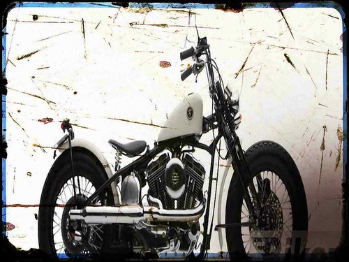 Photo motorbike type zero - type,