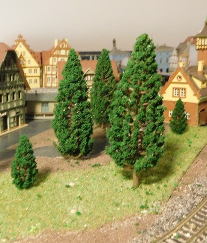 Abeti scuri alberi di - alberi,
