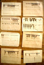 LANCETTE -MOD. "Luigi XV " ORE e MINUTI  - misure diverse -   ORO-   N.O.S.-'800