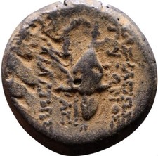 moneta greca antica - Trifone Dichalkon Dracma Bronzo -re seleucide: 142-138 a.C