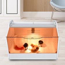 Incubatrice Pollo Scatola Cova
