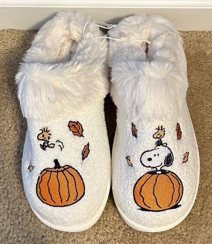 Fall peanuts snoopy - peanuts,