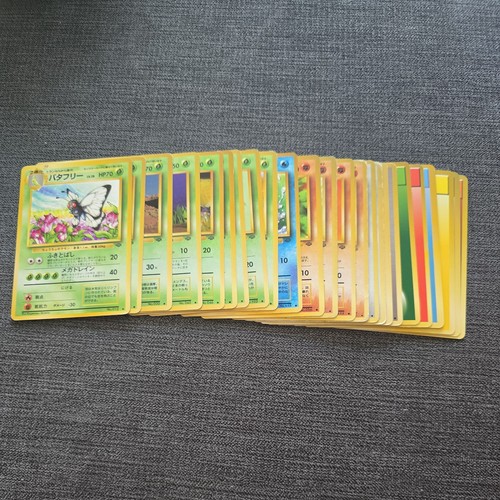 Japanese jungle set - 24,