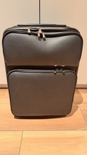 Louis vuitton pegase - louis,