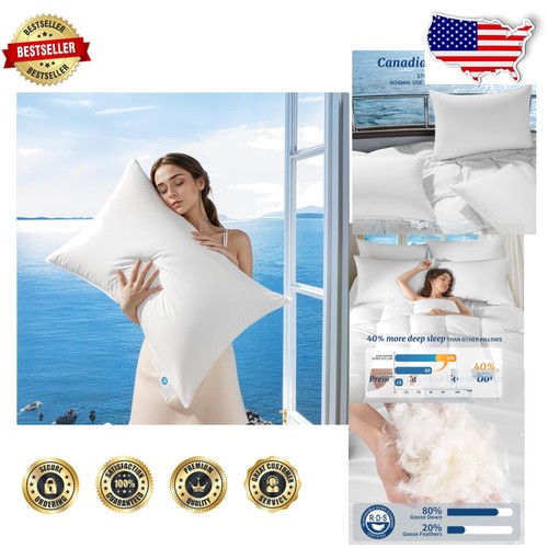 Luxury goose down pillow queen - luxury,