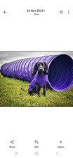 Tunnel di agilità per cani