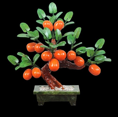 Bonsai giada mandarino - bonsai,