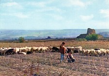TORRALBA NURAGHE S.ANTINE VALLE DEL NURAGHE VIAG.