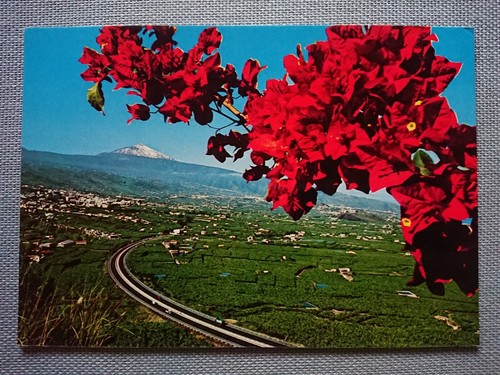 Vecchia cartolina postale - cartolina,