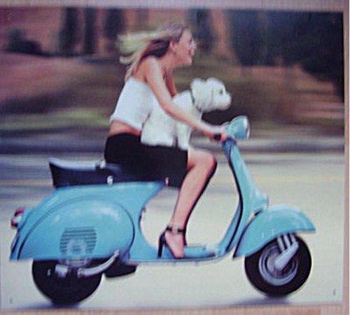 Targa latta retrò scooter - targa,