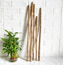 Antico Originale Primitive