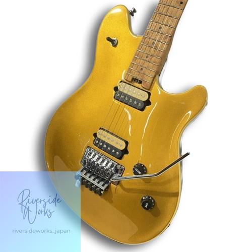 Custodia rigida standard