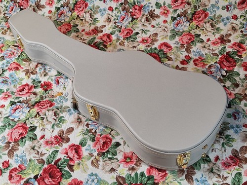 Custodia per chitarra - st,