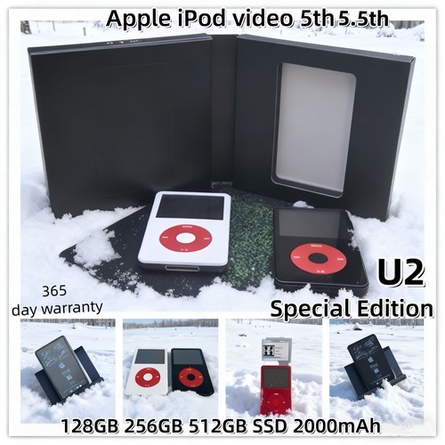 Apple ipod video modded - ipod,