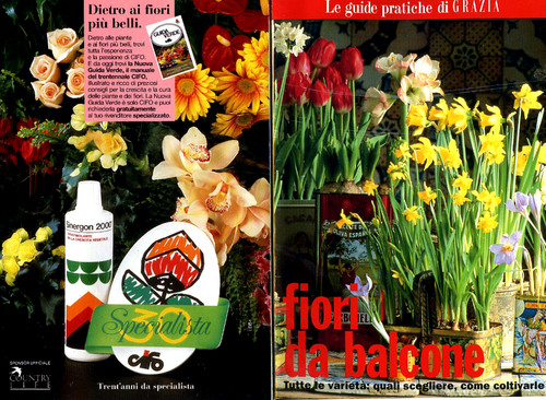 Fiori balcone n - *,