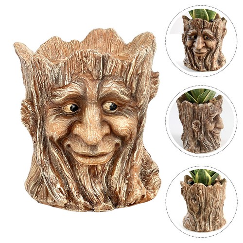 Vaso pianta grassa - pianta, vasetti