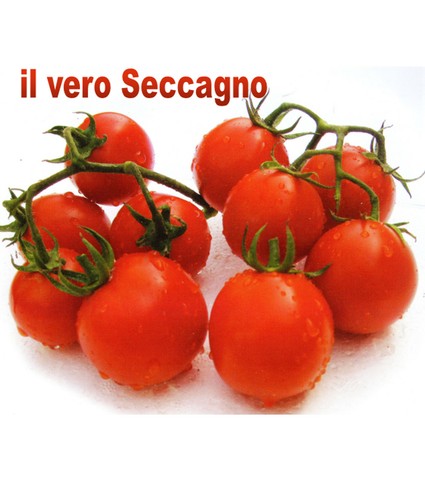 1000 semi seeds - 1000,