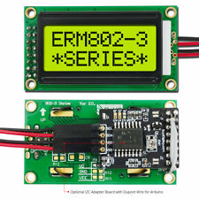 Modulo Display LCD Personaggio