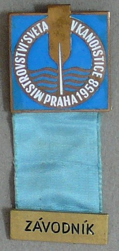 Distintivo spilla concorrente - distintivo,