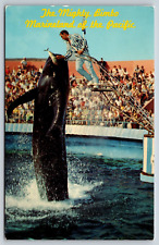 Vintage Bimbo The Whale