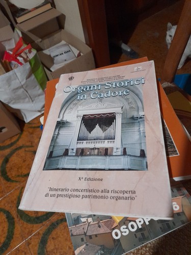 Organi storici cadore - organi,