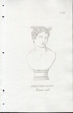 MERCURIO ALATO , incisione su rame, 1821, scultura nel Museo  in Vaticano