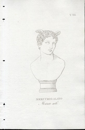 Mercurio alato incisione su - alato, ,