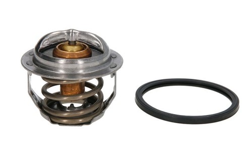 Termostato moto liquido di - termostato,