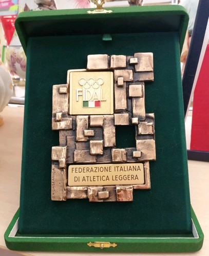Scultura placca ottone silvio - placca,