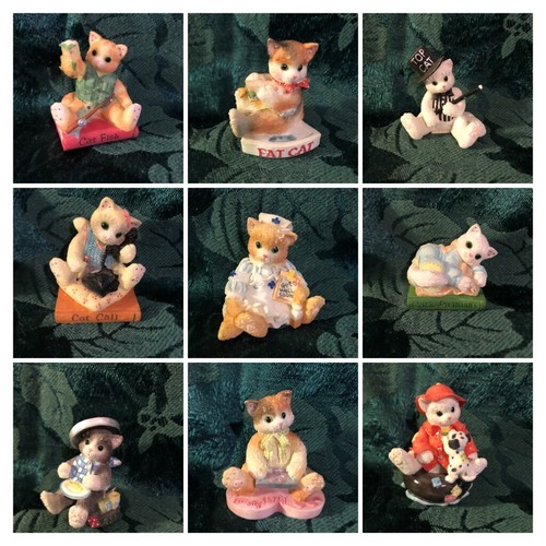 Gattini calico assortiti mini - calico,