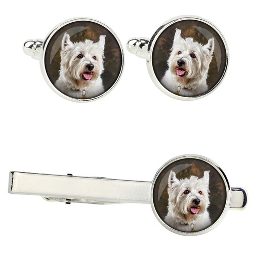 West highland white terrier - highland,