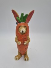 Costume coniglio diaspro che