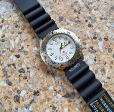 Citizen Promaster Water Resist