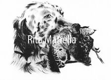 Stampa di Setter e Beccaccia - Rita Matrella 