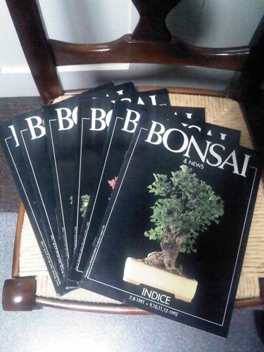 Bonsai news 9 13 - nr., 9,