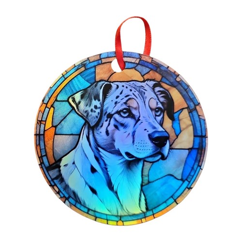 Catahoula cane leopardo - , 5
