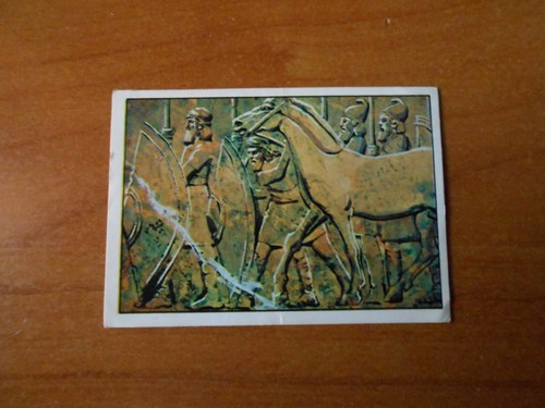 Figurina civilta 44 - figurina, n.