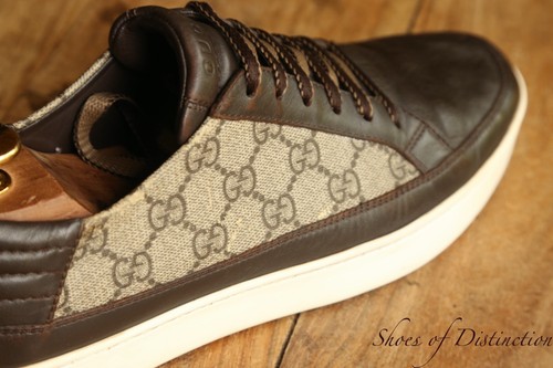 Gucci ace monogram marrone - gg,