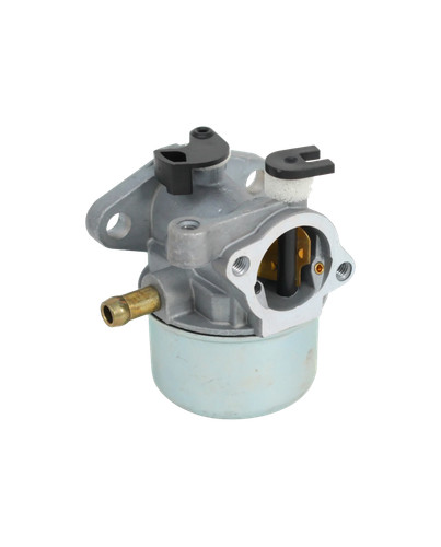 Briggs stratton carburatore - &,