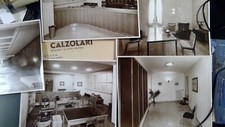 5 FOTOGRAFIE UFFICI ASSICURAZIONE MANTOVA (circa 1960) FOTO CALZOLARI