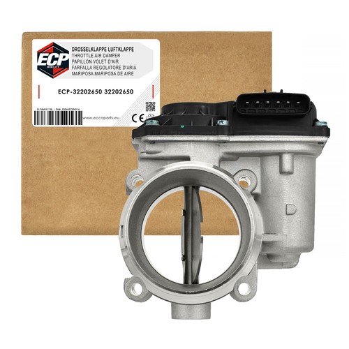 32202650 31293930 corpo - 32202650,