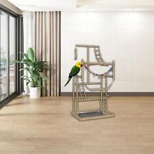 Supporto Per Pappagallo