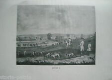 CANI DA CACCIA_ZOOLOGIA_IL