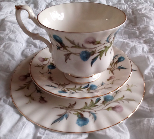 Cardo scozzese royal albert - cardo,