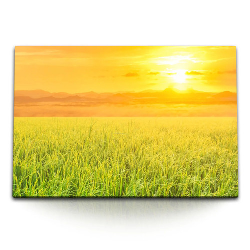 Quadro tela 120x80 campo - quadro,