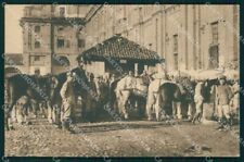 Torino Venaria Reale V